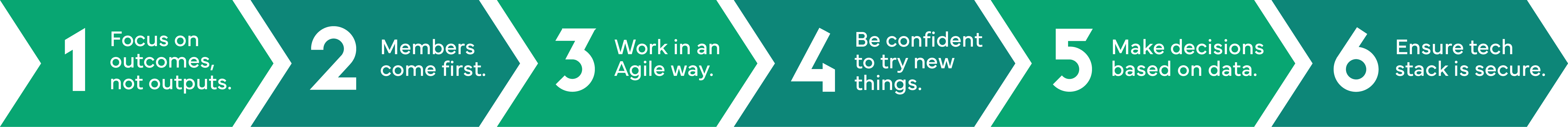 Graphic showing six guiding principles